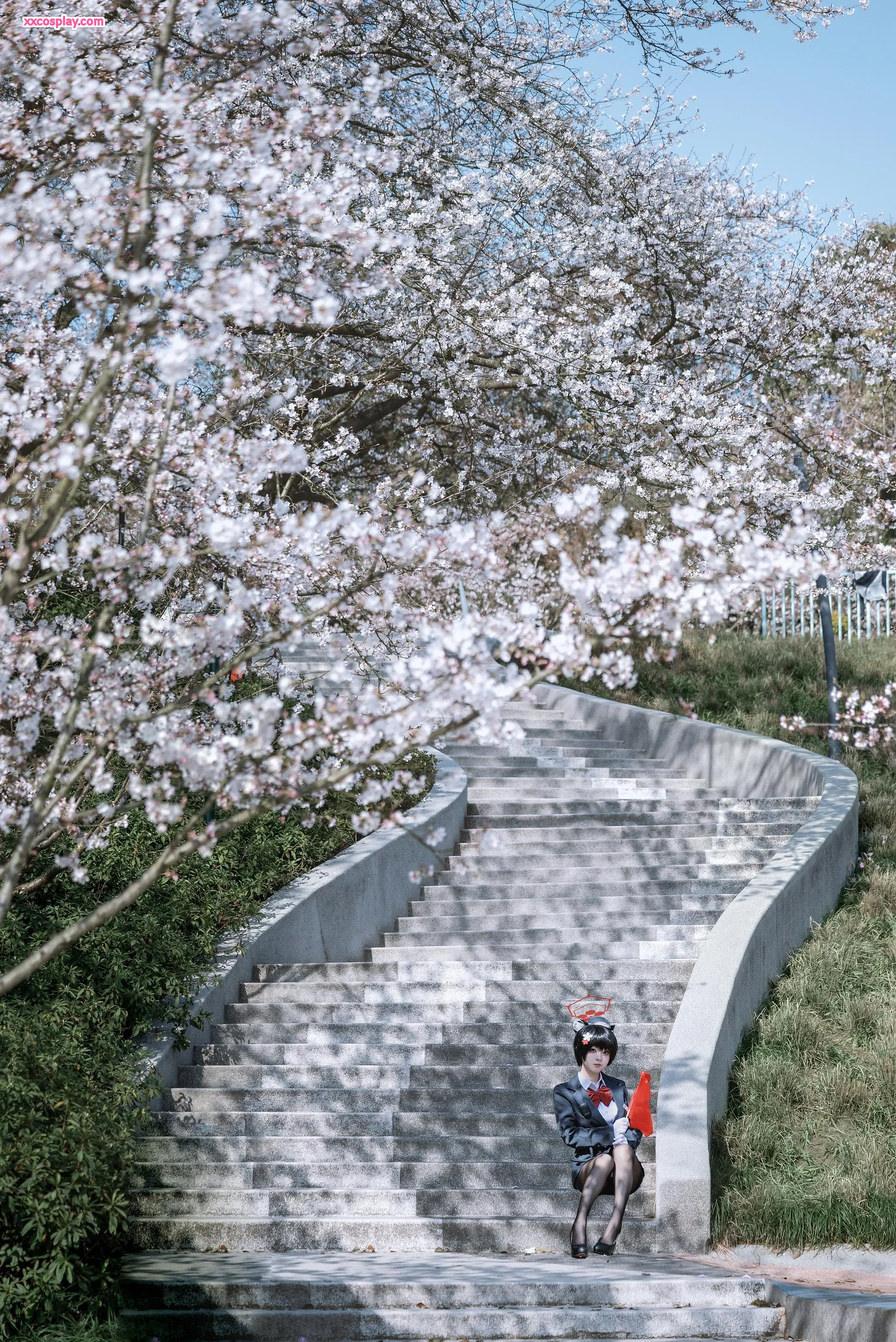 Vector Fish - Tsubaki Tour Guide